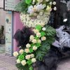 Kệ Hoa Chia Buồn Trong Kỷ Niệm (02)