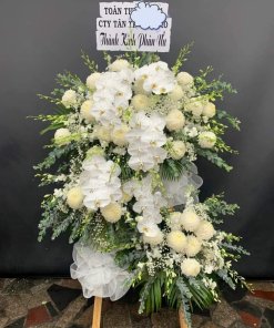 Dòng Sông Tình Thương: Hoa Viếng Gửi Lời An Ủi