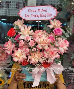 Chúc Mừng khai trương hồng phát - mừng sinh nhật