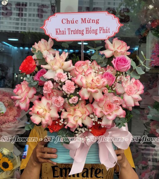 Chúc Mừng khai trương hồng phát - mừng sinh nhật